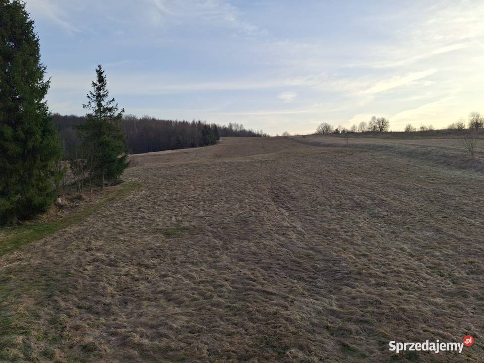 Działka rolno budowlana 10zł/m2 Bochnia sprzedam