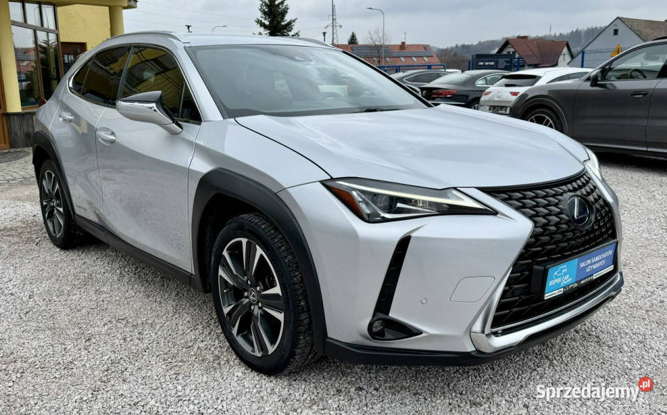 Lexus UX 250hHybryda4x4Gwarancja nieuszkodzony Kamienna Góra