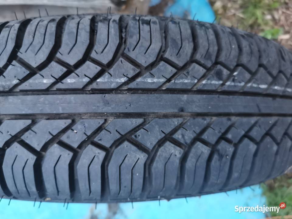 Opona Pojedyncza Zapas Dębica 1316565 Grodzisk Wielkopolski