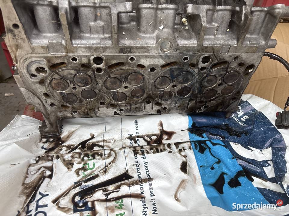 Głowica Ford transit 24l ns k4tea Zastów