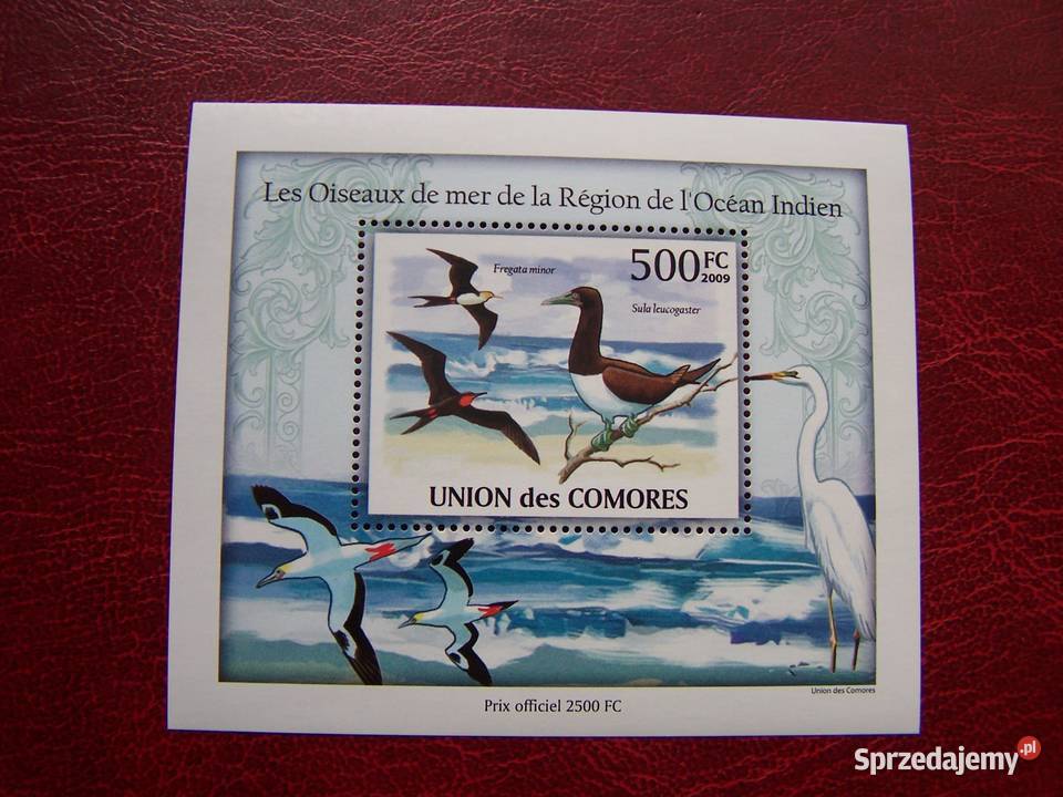 Komory 2009 MNH Fauna Ptaki Morskie Nakład 2500 Tychy