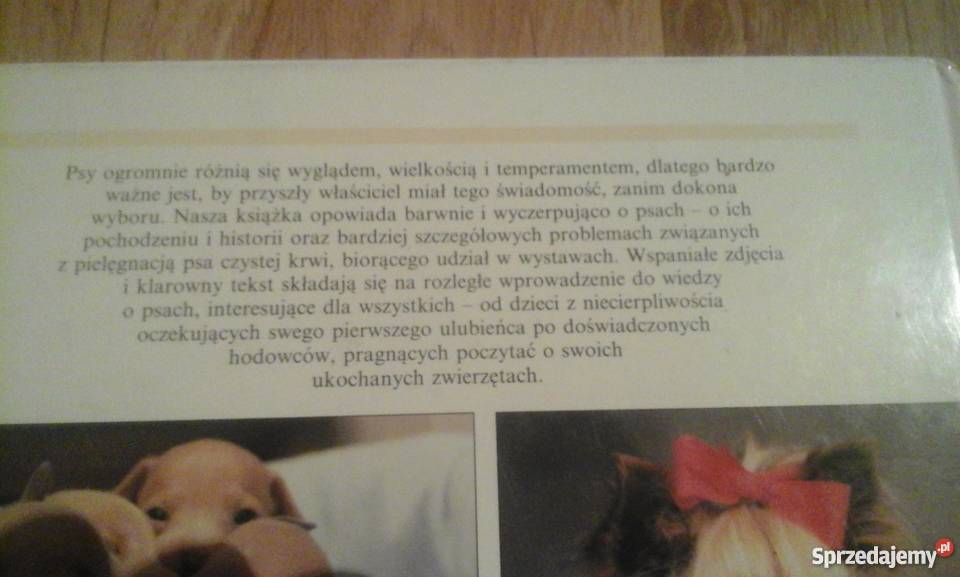 Wszystko o psie Yvonne Rees poradnik Gliwice
