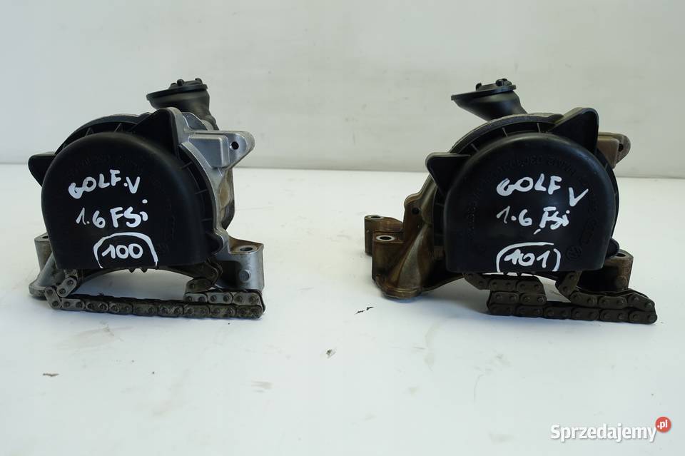 Vw Golf V 16 FSI POMPA OLEJU 03C103669E Blok silnika Chełm