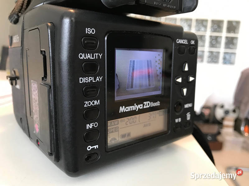Mamiya ZD cyfrowa tylna ścianka digital back