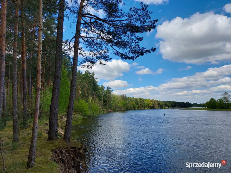 Rogóźno 1261m2 piękna działka rzeki i lasu Sprzedaż