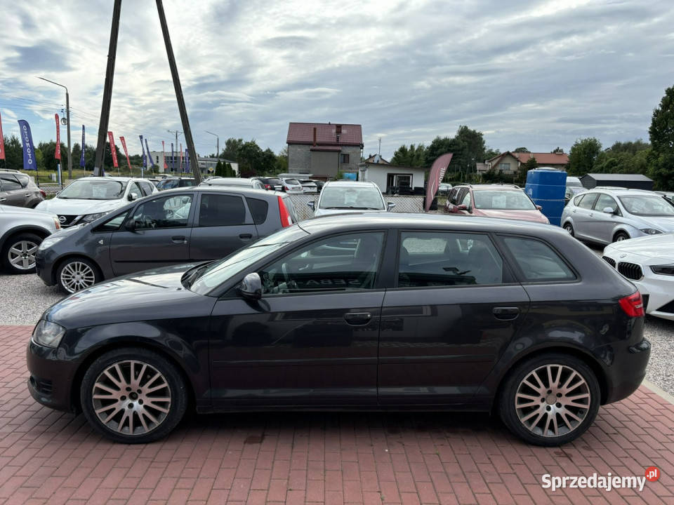 Audi A3 Gwarancja 19TDI 8P 20032012 ESP Sade Budy