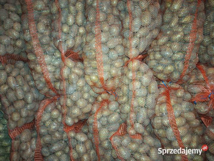 Sprzedam ziemniaki paszowe Miączyn