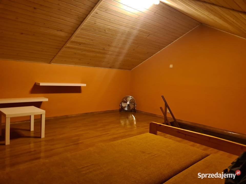 Działka ROD w Jaworznie z domkiem murowanym Jaworzno
