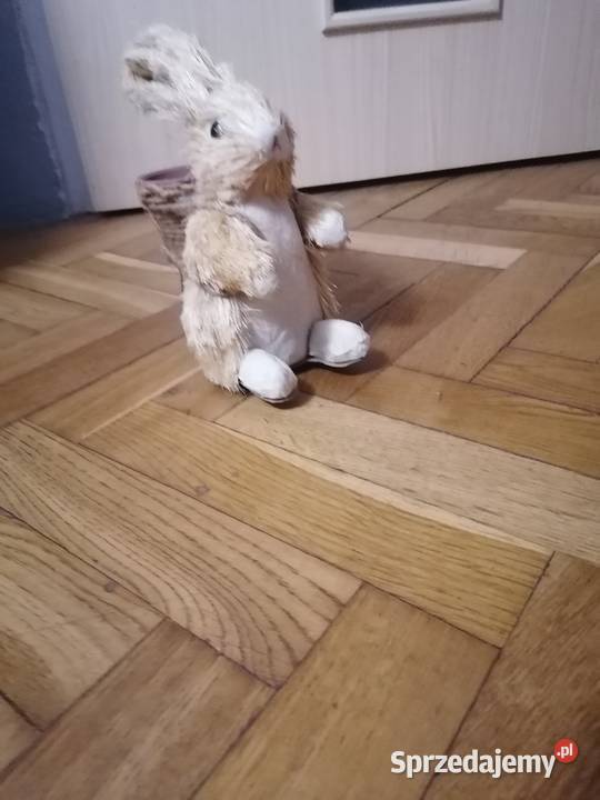 Zając z trawy z małą doniczką Gdańsk