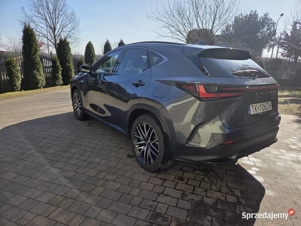 Lexus nx450h salon polska Chełmek