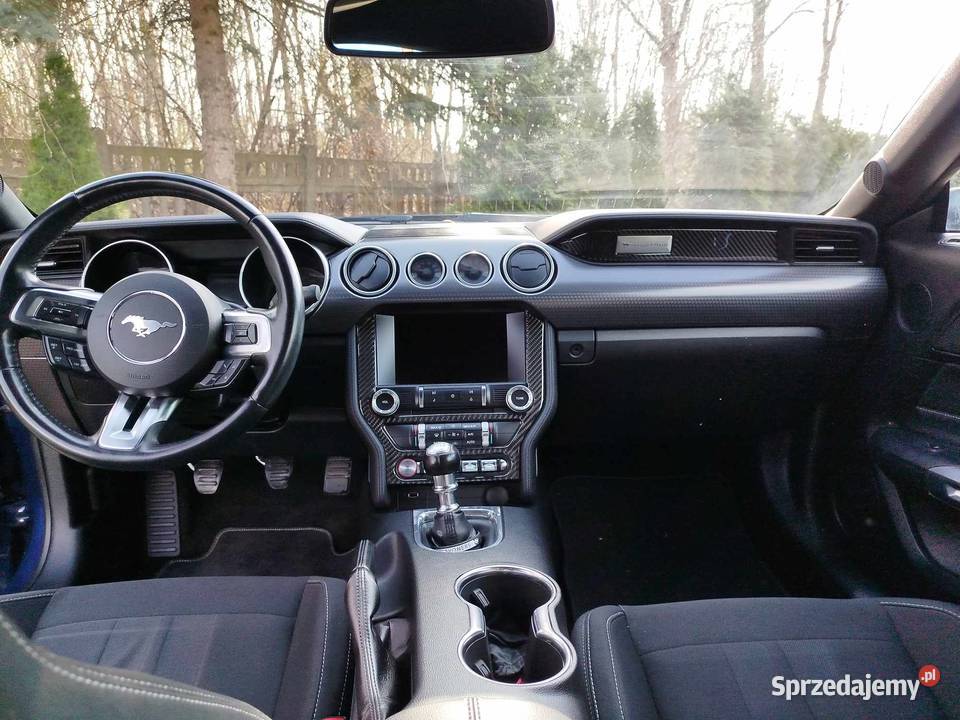 Ford Mustang GT V8 50 Performance Rzeszów