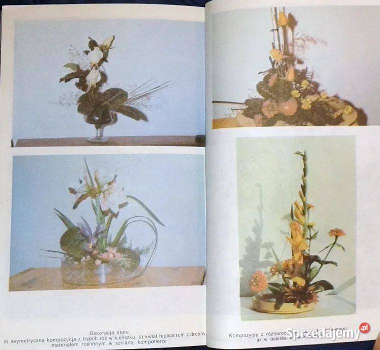 Kompozycje roślinne Agnieszka Sokołowska Chełm