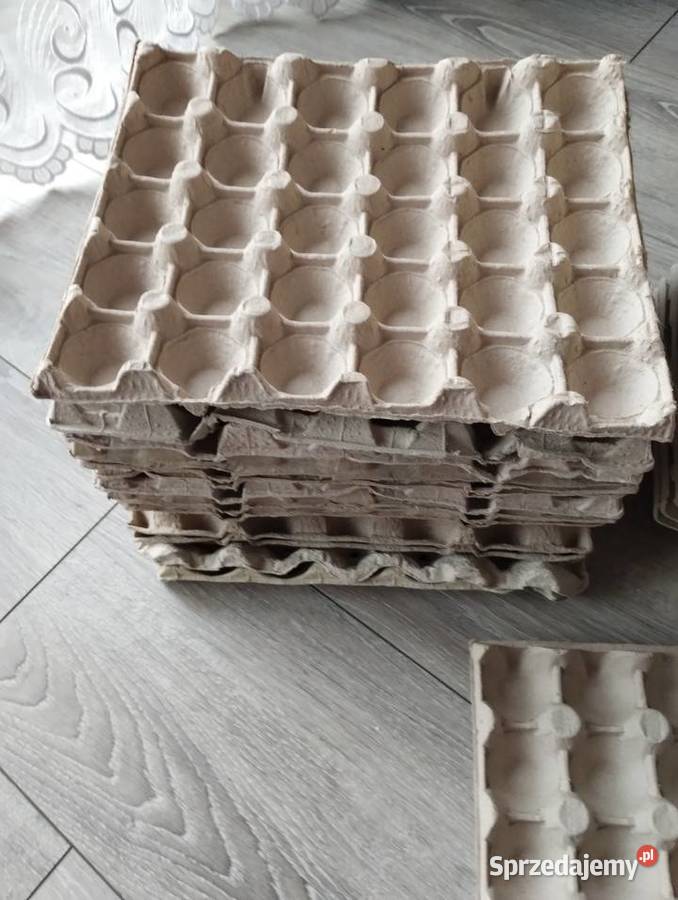 wytłaczanki pojemniki na jajka w sumie 48 sztuk Pozostałe Rolnictwo Poznań