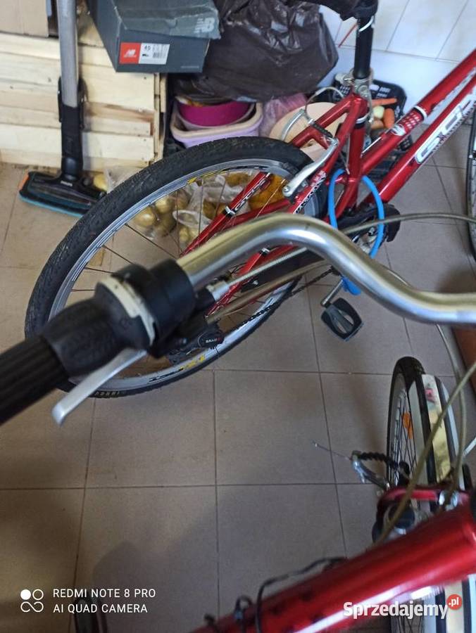 rower turystyczny trekkingowy 19 rama Będzino