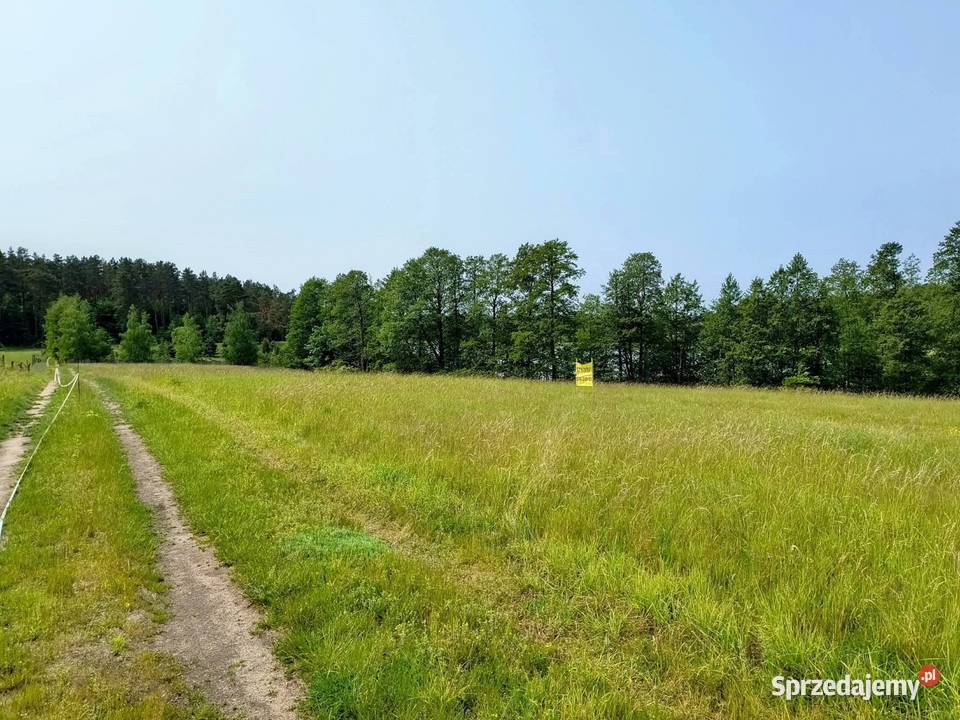Działka z linią brzegową jeziora Wygryny w 129zł/m2 warmińsko-mazurskie