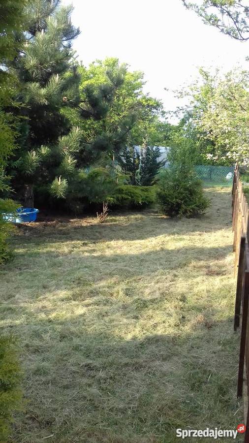 Sprzedam ogródek działkowy Płock