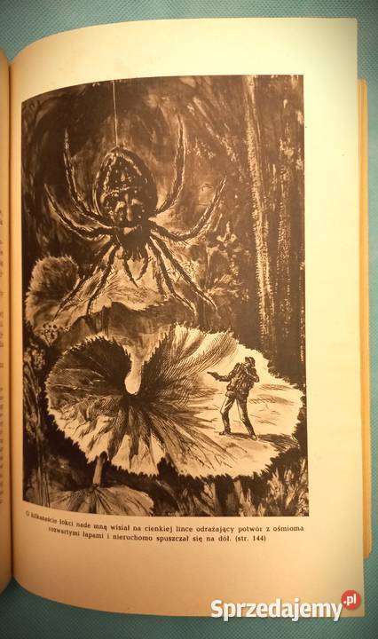 Doktor Muchołapski fantastyczne przygody w