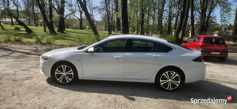 Opel insignia 2019 20turbo benzyna 270 automat Dębica