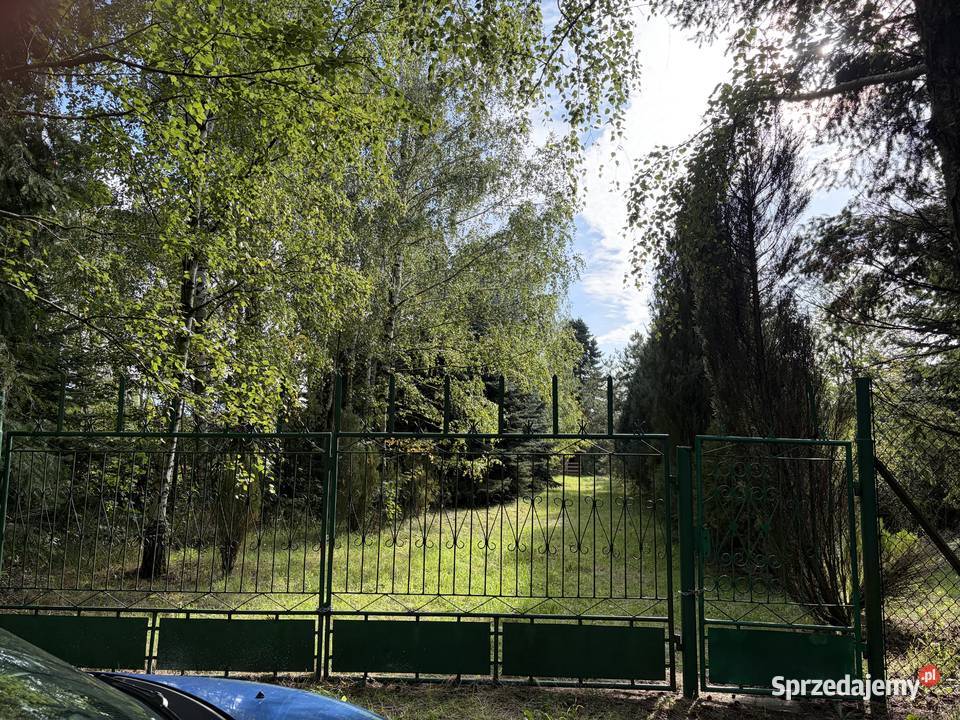 Wyjątkowa działka z dojrzałym starodrzewem Głowno