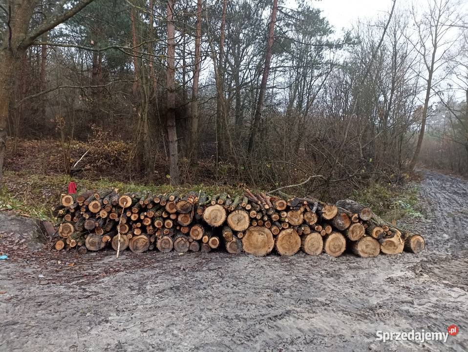 Drzewo opałowe mieszanka Łabunie sprzedam