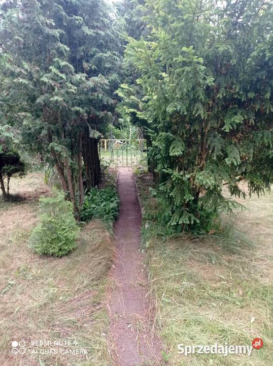 Działka ROD w Łowiczu rekreacyjna łódzkie