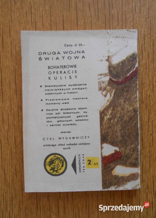 Żółty Tygrys Przedmurze Starówki 285