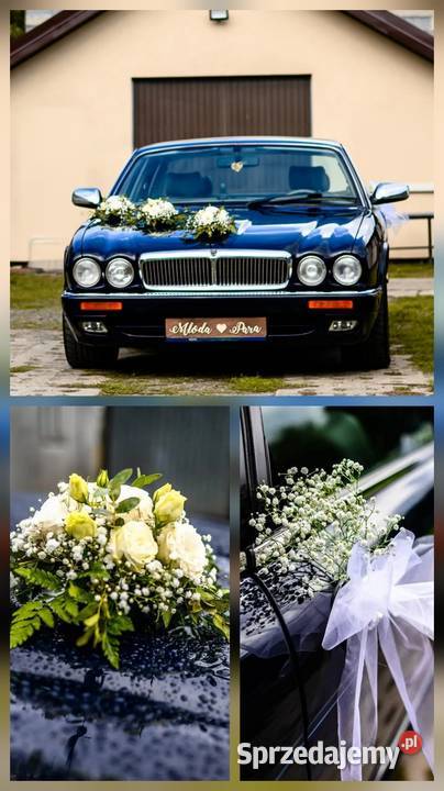 Jaguar XJ wynajem samochodu ślub wielkopolskie