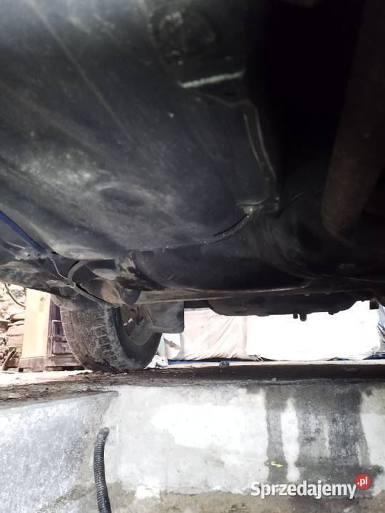 Sprzedam Laurine ful wypas Zgorzelec