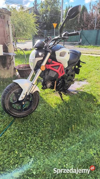 Romet Pony Monster 7250 doinwestowany Więckowice