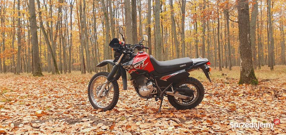 Yamaha XT600E Toruń