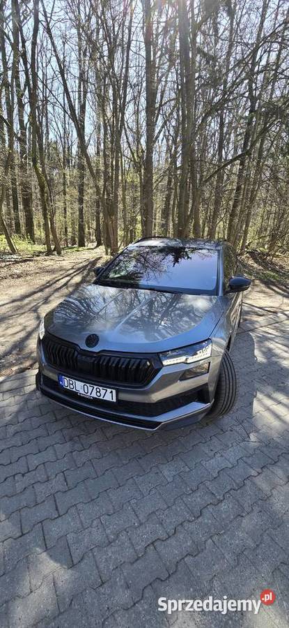 Skoda Karoq 15 Tsi Karoq