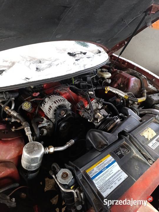 Firebird 38 1997 nieuszkodzony Firebird Drawno