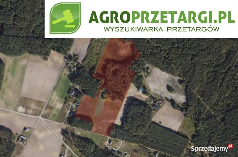 Dzierżawa 626 ha gruntu rolnego Toruń