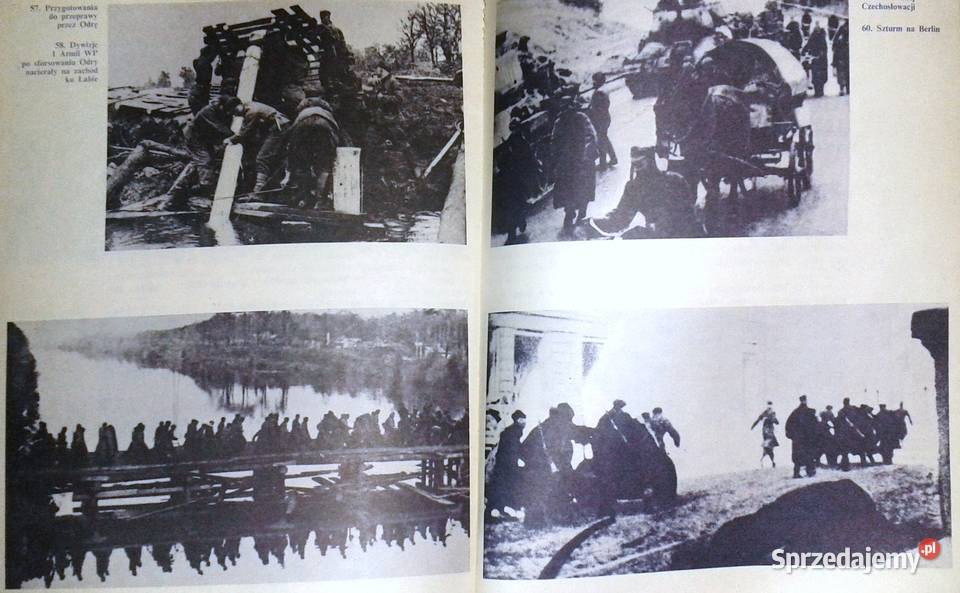 Grób Nieznanego Żołnierza Apoloniusz Zawilski