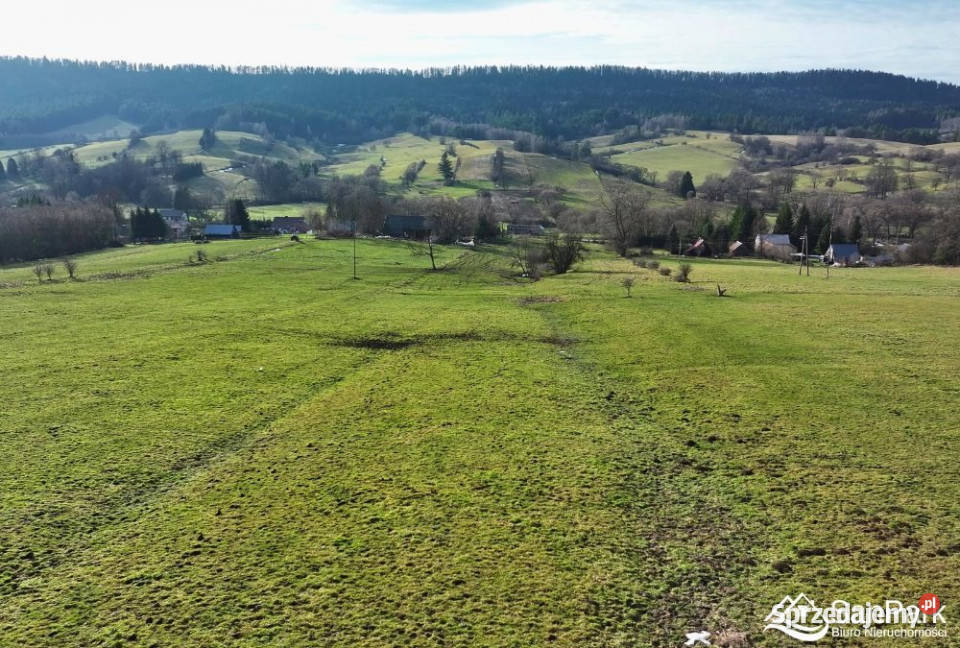 Działka 26273m2 Ustrzyki Dolne 17zł/m2 podkarpackie