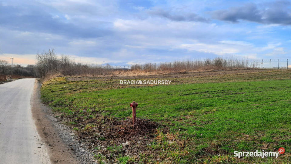 sprzedaży działki Morawica 2500m2