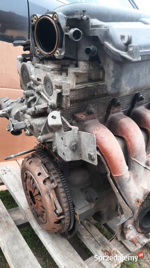 silnik kompletny 16 16V Renault megane II scenic Dębno sprzedam