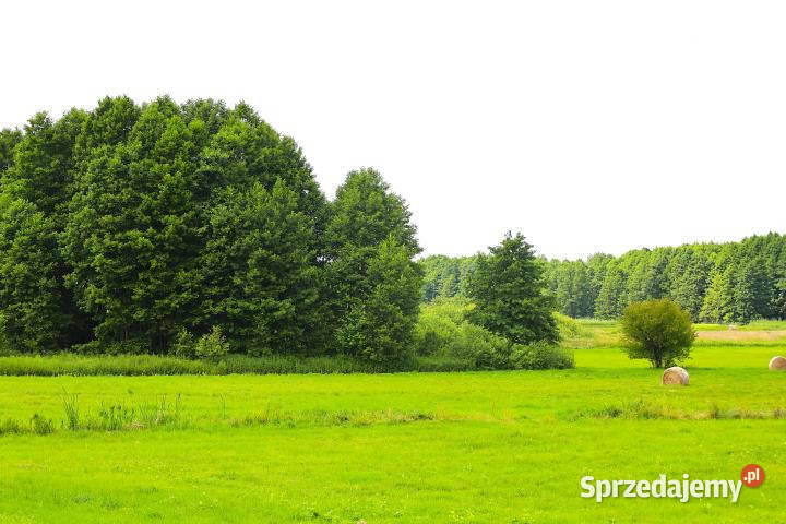 Grunt do sprzedania Stara Kiszewa 1129m2 pomorskie