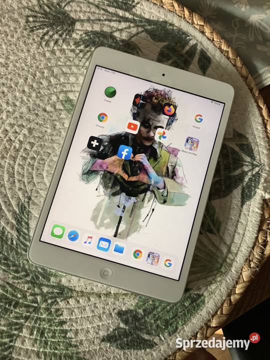 iPad mini wszystko sprawne łódzkie Łódź