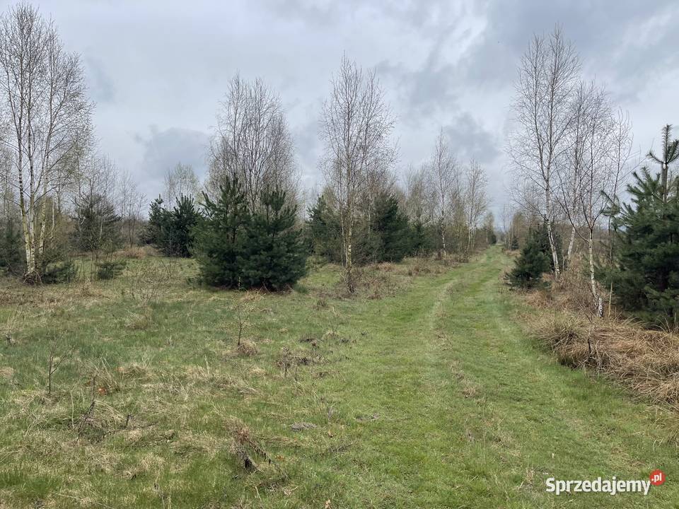 Sprzedam działkę budowlaną z warunkami zabudowy mazowieckie Korzyce sprzedam