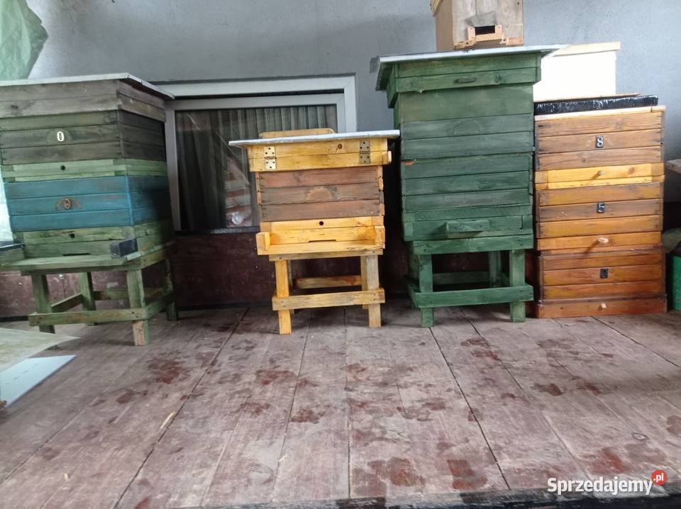 Sprzedam ule wielkopolskie z nadstawkami Pszczelarstwo
