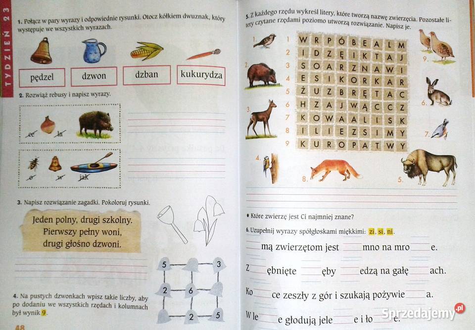 Chcę wiedzieć więcej Zeszyt B Marianna Kumor miękka lubelskie Chełm