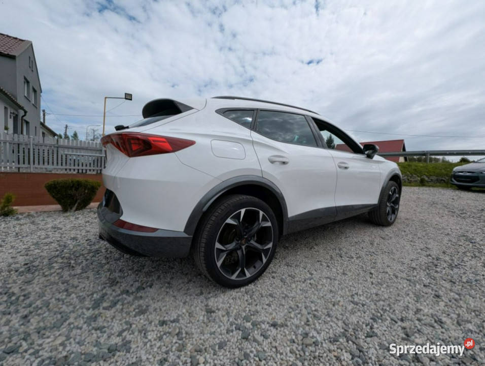 Cupra Formentor Oświetlenie ambiente auto NOWE SUV