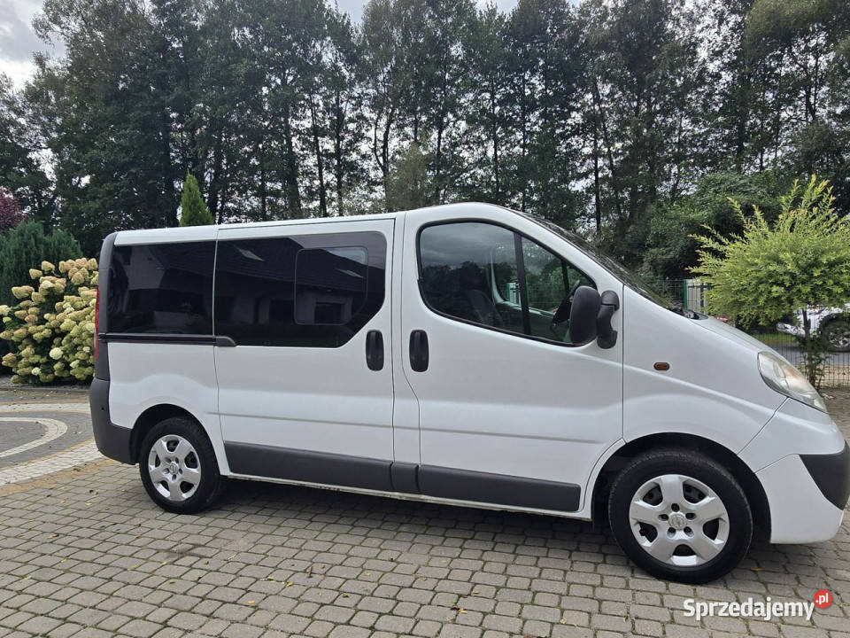 Opel Vivaro 20 dCi 8osobowy Bezwypadkowy ZADBANY