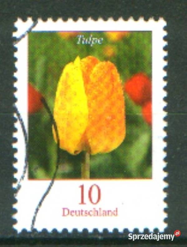 Zn RFN Mi 2471 842005 251506 271609 kas Gliwice sprzedam