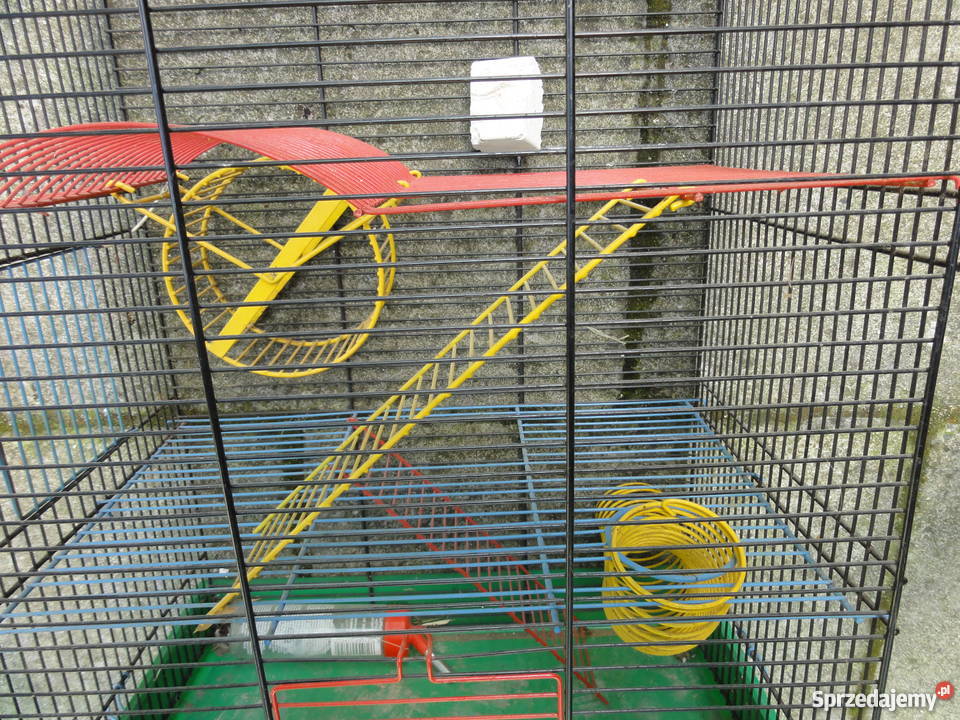 piętrowa klatka chomika świnki gryzoni dolnośląskie Wrocław