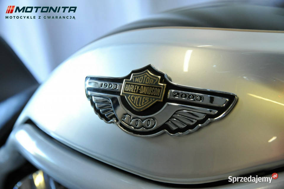 HarleyDavidson VRod HarleyDavidson VRSCA VROD pas napędowy Podkowa Leśna