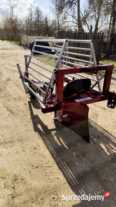 Sadzarka porzeczek malin drzewek róż lubelskie Puławy