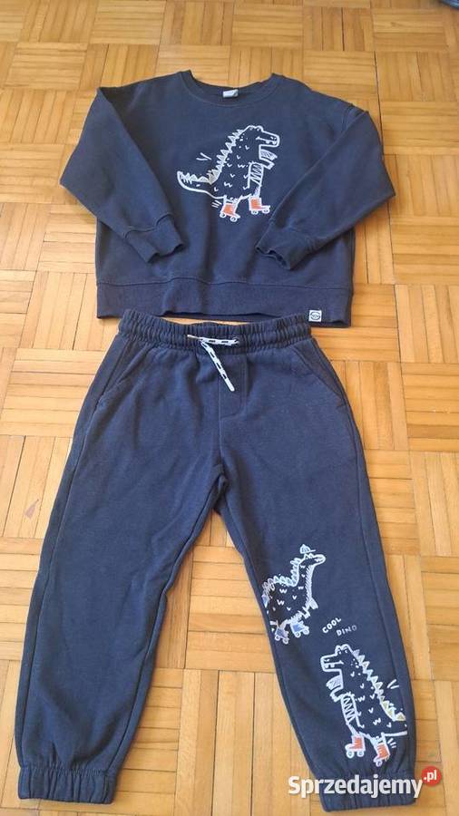 Dres chłopca rozmiar 110 Bielsko-Biała