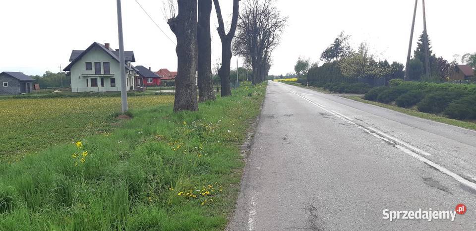 Działka 50a utwardzona Wynajem Pińczów